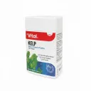 Vital - Kelp